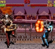 Mortal Kombat 2: скриншот #12