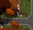 Ultima VII: The Black Gate: скриншот #11