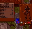 Ultima VII: The Black Gate: скриншот #2