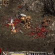 Diablo II: Lord of Destruction: скриншот #11