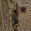 Tomb Raider: скриншот #21
