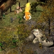 Baldur's Gate II: Shadows of Amn: скриншот #9