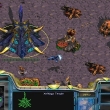 StarCraft: Brood War: скриншот #8