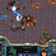 StarCraft: Brood War: скриншот #9